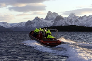 Images Dated 16th November 2006: Observation boat looking for Killer Whales (Orcinus orca) - Tysfjord - Lofoten Isles - Norway