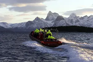 Field Study Prints: Observation boat looking for Killer Whales (Orcinus orca) - Tysfjord - Lofoten Isles - Norway