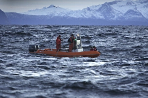 Observation boat with scientists looking for Killer Whales (Orcinus orca) Observation boat with scientists looking for Killer Whales (Orcinus orca)