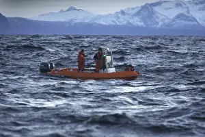 Field Study Prints: Observation boat with scientists looking for Killer Whales (Orcinus orca) - Tysfjord - Lofoten Isles - Norway