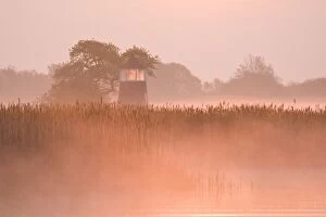 Images Dated 1st May 2009: Observation Tower - in early morning mist