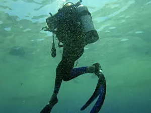 Plankton Prints: Oceanic plankton - an algae spawn clouds the tropical water in summer