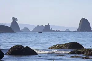 Sea Stacks Prints: Offshore Sea Stacks, Third Beach Olympic National Park, Washington State, USA LA001547