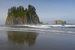 Sea Stacks Prints: Offsore Sea Stacks, Second Beach Olympic National Park, Washington State USA LA001603