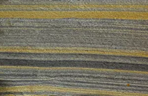 Oil Shale - close-up - Western Colorado - USA