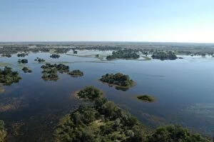 Images Dated 15th May 2004: Okavango delta, Botswana, Africa