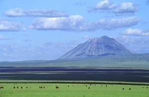 Images Dated 18th August 2009: Ol Doinyo Lengai - Volcano Sacred to Massai & Wildebeeste Rift Valley - Ngorongoro Conservation