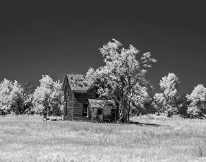 House Gallery: Old deserted farm house with plow