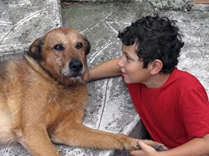 Old Dog - with boy