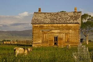 Images Dated 2nd July 2010: Old Farm house on prairie - southern Wyoming - July - USA