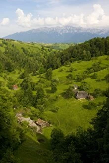 Images Dated 11th June 2008: Old-fashioned agriculture in the Piatra Craiulu Mountains National Park
