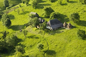 Images Dated 12th June 2008: Old-fashioned agriculture in the Piatra Craiulu Mountains National Park