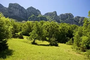 Old fields on the upper slopes of the Vikos Gorge and Astraki mountain, north-west Greece