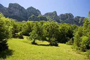 Calcareous Prints: Old fields on the upper slopes of the Vikos Gorge and Astraki mountain, north-west Greece