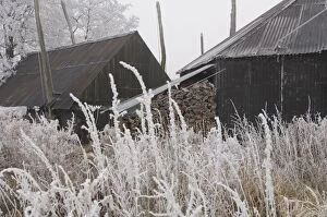 Images Dated 21st December 2007: Old haystacks