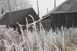 Barns Prints: Old haystacks The Netherlands, Overijssel, Hasselt