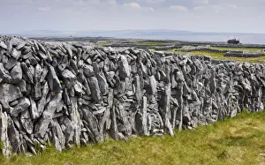Eire Prints: Old limestone drystone wall on Inisheer with small fields and the wreck of the Plassey beyond; the Burren