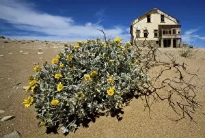 Images Dated 11th November 2006: Old Mining Town near Luderitz called 'Ghost Town'