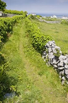 Burren Gallery: Old pathway through small limestone-walled old fields on Inisheer the Burren