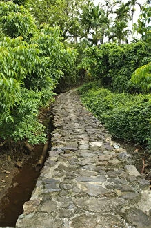 Empty Gallery: Old stone pathway, Yap, Caroline Islands