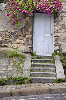 Images Dated 17th September 2013: Old stone wall with wooden door and flowering