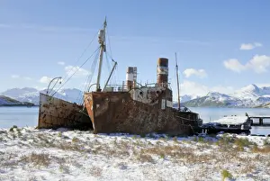 Old Whaling boats at Grytviken - South Georgia - Antarctica