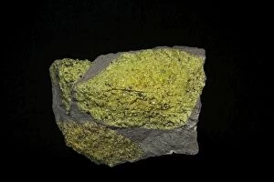 Images Dated 5th November 2013: Olivine in basalt
