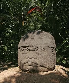 Images Dated 8th August 2006: Olmec Statue - Mexico
