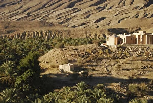 Oman, Wadi Bani Khalid, houses by fan palm