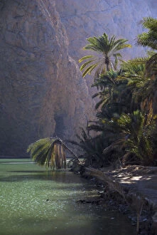 Arab Gallery: Oman, Wadi Shab, natural pristine green