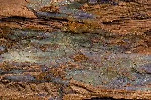 Opalized Wood - Rainbow Ridge Opal Mine - Denio-Nevada, USA - Mid-Miocene - 15 million years - coniferous tree
