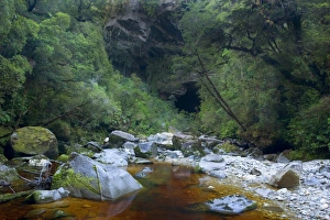Images Dated 21st February 2008: Oparara Arch - view of Oparara Arch and Oparara river when approached by foot from path