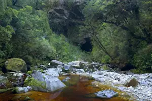 Arches Prints: Oparara Arch view of Oparara Arch and Oparara river when approached by foot from path Oparara basin