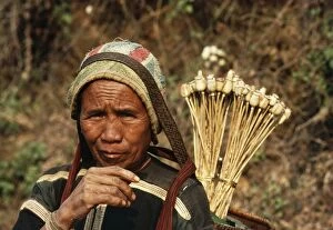 Farmer Gallery: Opium POPPY - Meo tribes woman with opium pods to sell