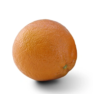 Images Dated 15th November 2006: Orange