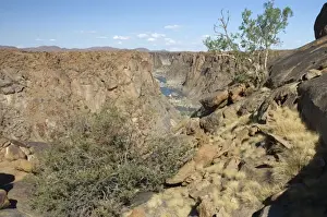 Orange River below Augrabies Falls viewed from Arafat lookout. Karoo Boer-bean tree (Schotia afra) flowering in foreground. Augrabies Falls National Park, Northern Cape, South Africa
