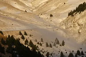 Ordesa Valley - Ordesa y Monte Perdido National Park - Pyrenees - Spain