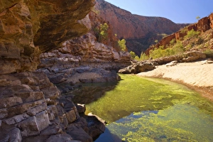 Images Dated 9th June 2008: Ormiston Gorge - towering red cliff walls and a picturesque waterhole make Ormiston Gorge to one