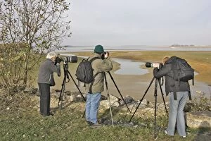 Birdwatcher Gallery: Ornithologist / Birdwatchers and photographers