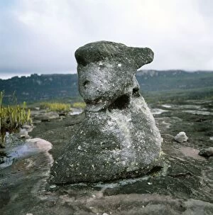 Images Dated 13th October 2009: Oso rock (the bear), Auyantepui summit (Devil's Mountain), Canaima National Park, Estado Bolivar