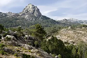 Corsica Prints: Ospedale Massif and Forest - Corsica