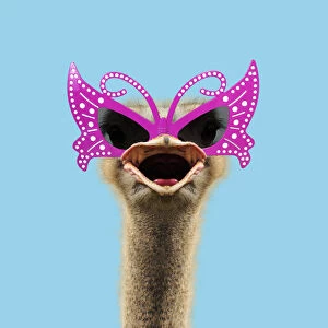 Ostrich portrait wearing glamarous glasses, calling