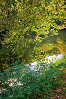 Miller Prints: Otter Lake, Blue Ridge Parkway, Virginia, USA. Date: 04-10-2018