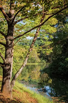 Miller Prints: Otter Lake, Blue Ridge Parkway, Smoky Mountains, USA. Date: 04-10-2018