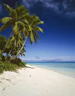 Tonga Prints: Ovalau Island tropical beach scene with palm trees - Vava'u Group - Tonga JLR06089