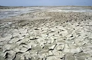 Images Dated 1st March 2010: Over-dried soil with cristallized salt on its surface - typical salinated desert soil near Kumdag