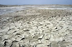 Cracked Prints: Over-dried soil with cristallized salt on its surface - typical salinated desert soil near Kumdag - Turkmenistan