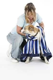 Owner drying dog with towel