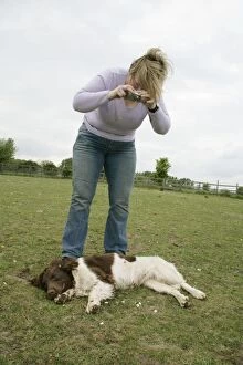 Images Dated 25th April 2007: Owner photographing a dog during a seizure