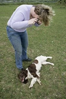 Owner photographing a dog during a seizure